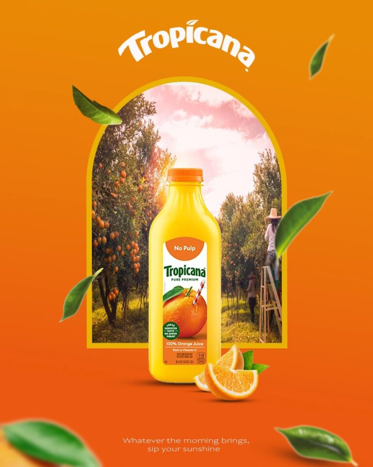 WhatsApp Image 2025-12-29 at 3.45.38 PM (1)