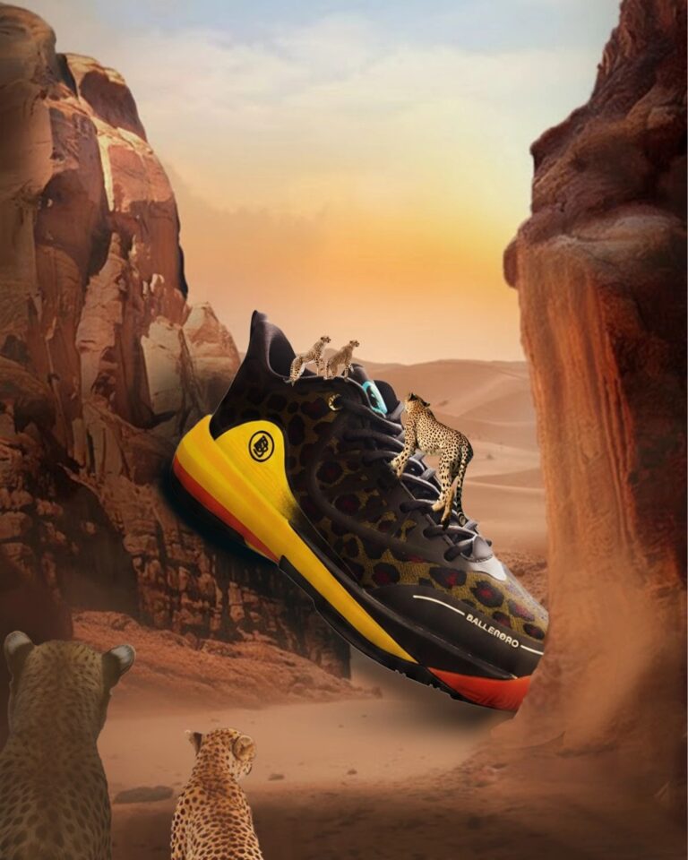 WhatsApp Image 2025-12-29 at 3.45.38 PM (2)